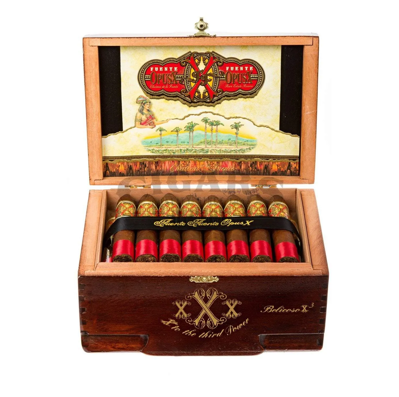 Arturo Fuente Opus X Belicoso XXX