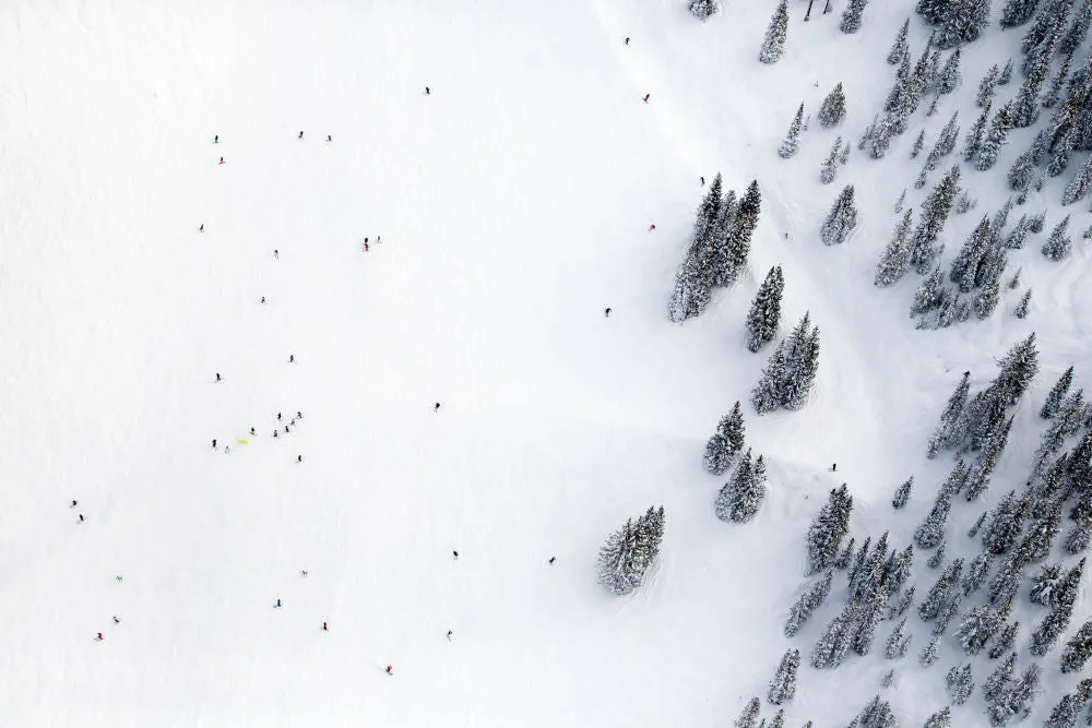 Aspen Ski & Snow Diptych