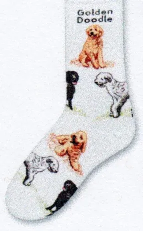 FBF Golden Doodle Poses 2 Sock