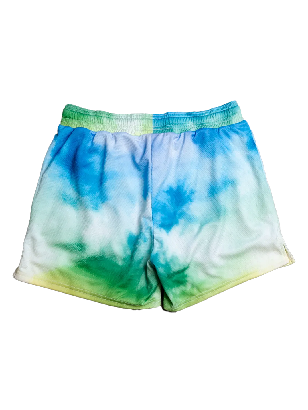 Mesh Training Short (5" Inseam) - Prism